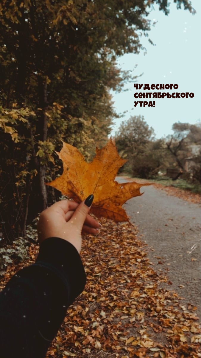 Чудесного сентябрьского утра!