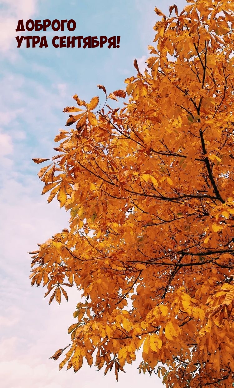 Доброго утра сентября!