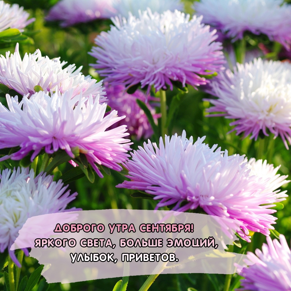 Доброго утра Сентября! Яркого света, больше эмоций