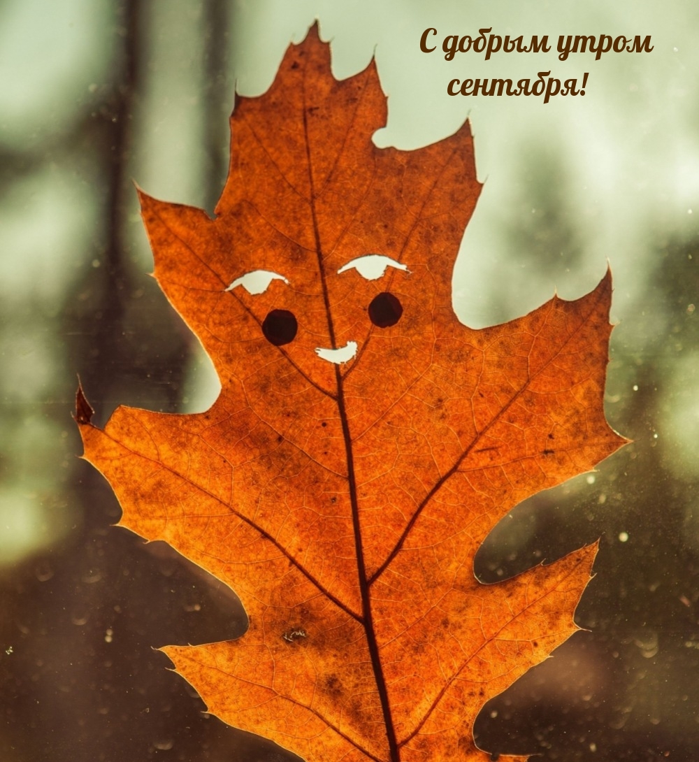 С добрым утром сентября!