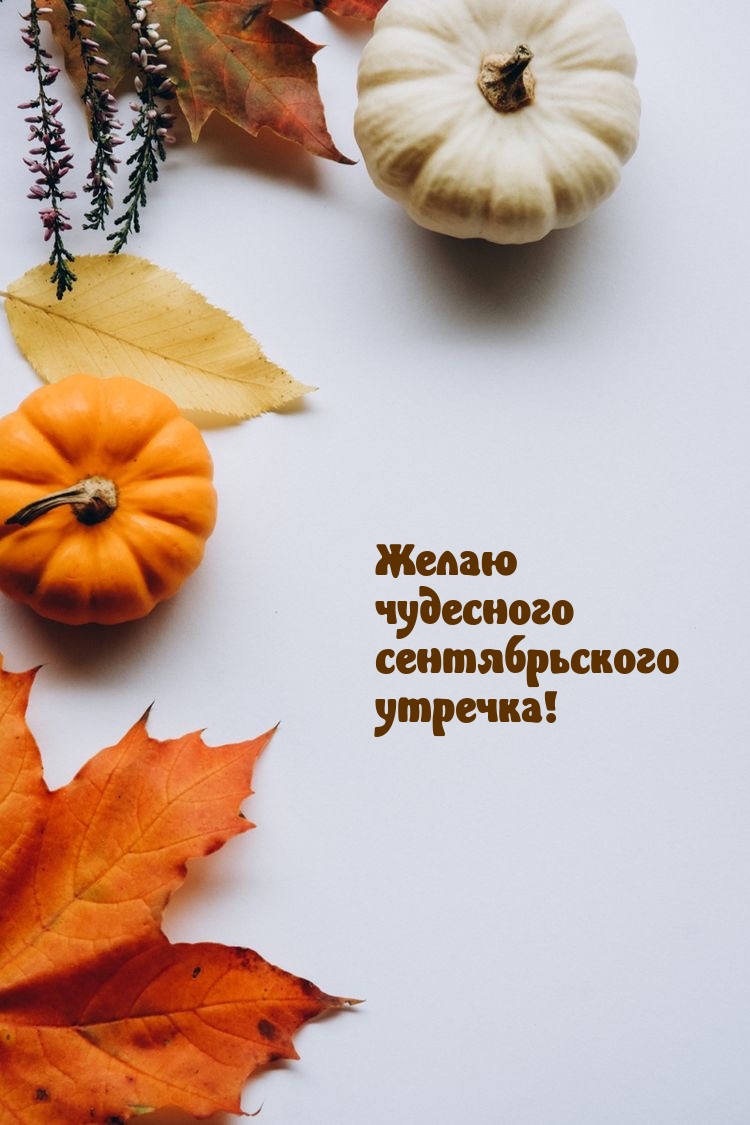 Желаю чудесного сентябрьского утречка!