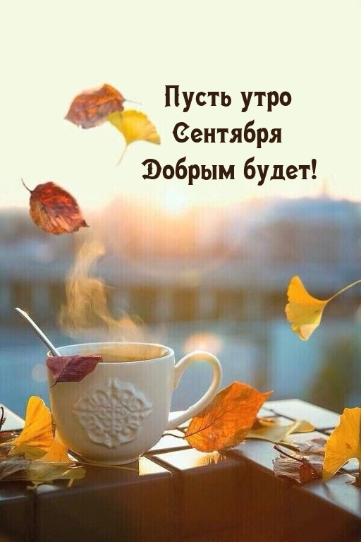 Пусть утро Сентября Добрым будет!
