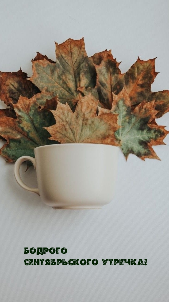 Бодрого сентябрьского утречка!