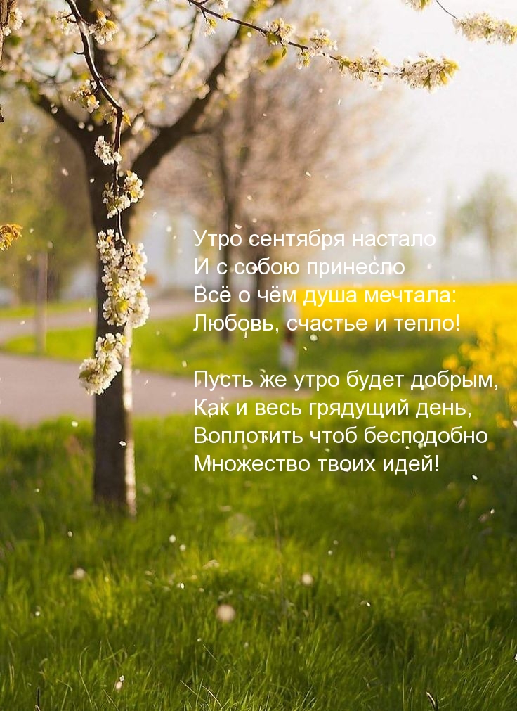 Утро сентября настало и с собою принесло всё о чём душа мечтала