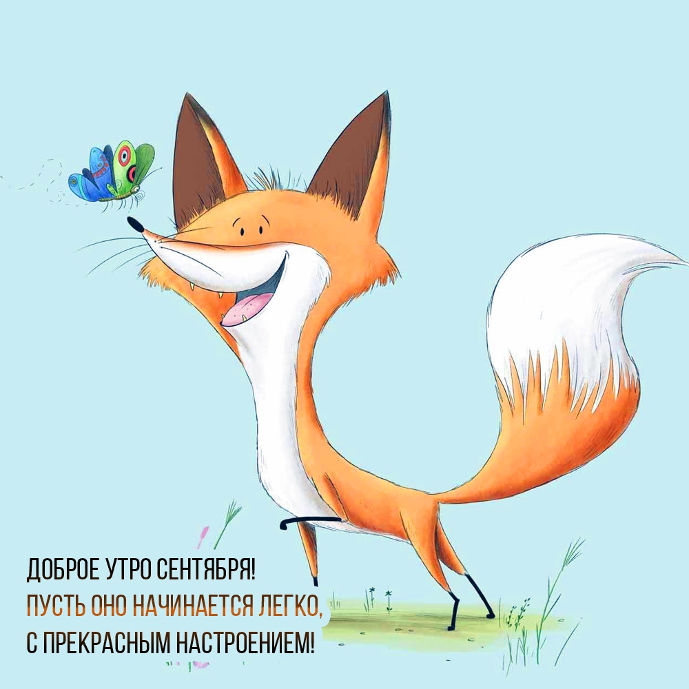 Доброе утро сентября! Пусть оно начинается легко