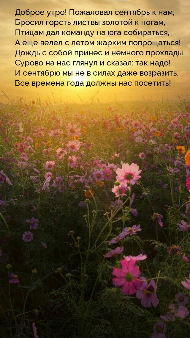 Доброе утро! Пожаловал сентябрь к нам