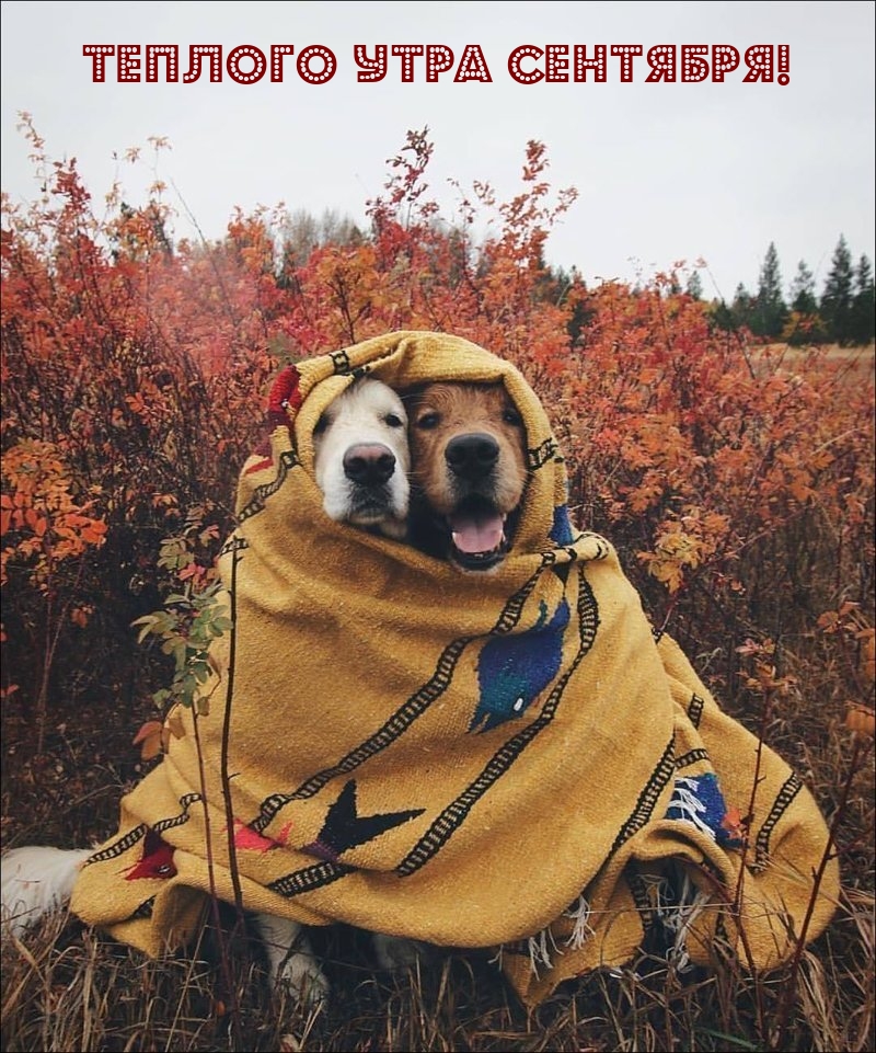Теплого Утра Сентября!