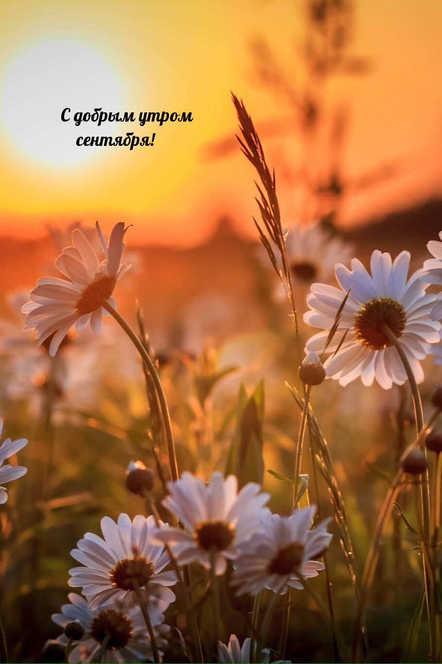 С добрым утром сентября!