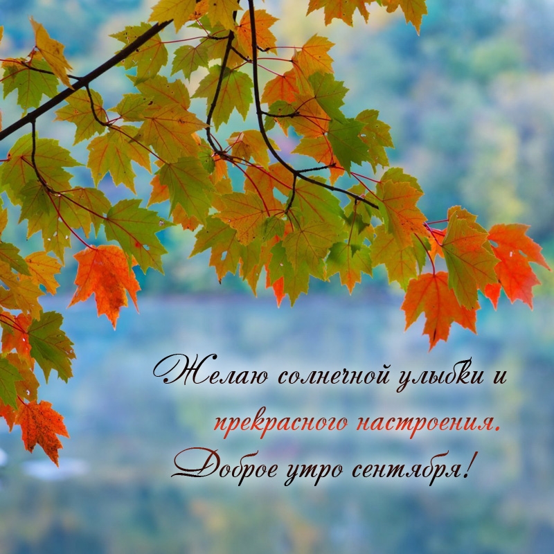 Желаю солнечной улыбки и прекрасного настроения.