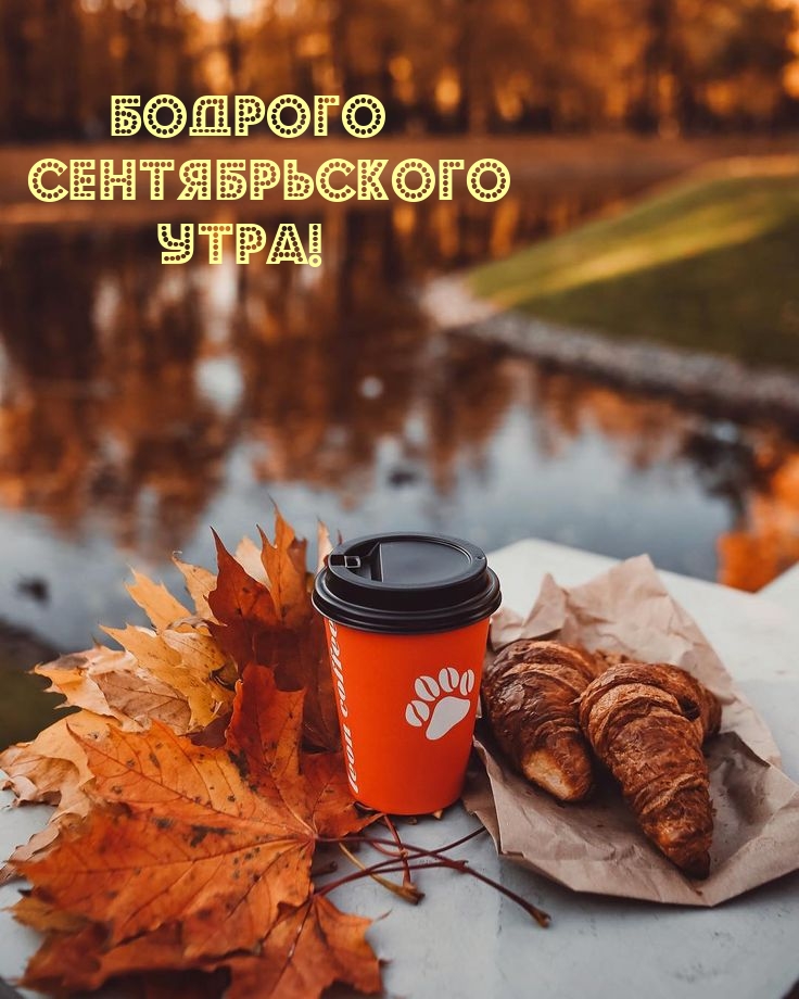 Бодрого Сентябрьского Утра!
