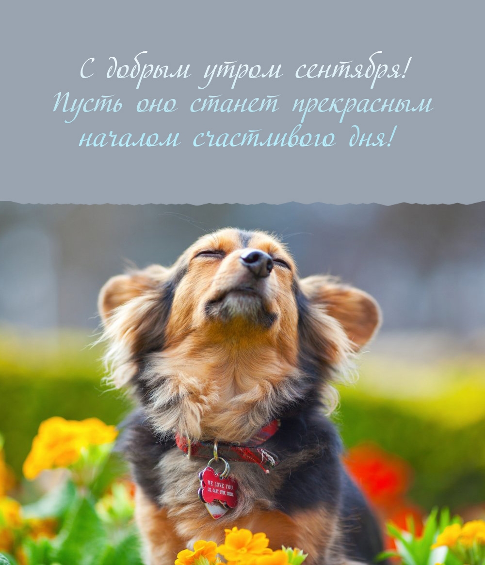 С добрым утром сентября! Пусть оно станет началом счастливого дня!