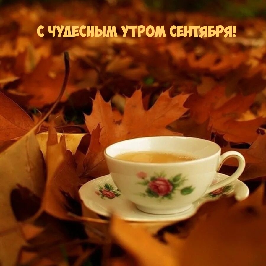 С чудесным утром сентября!