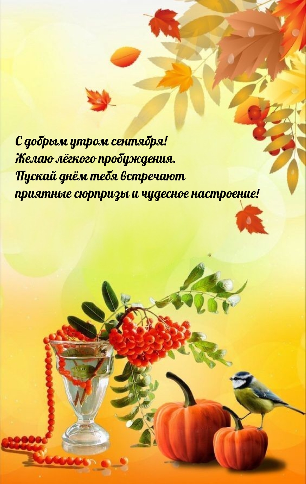 С добрым утром сентября! Желаю лёгкого пробуждения.