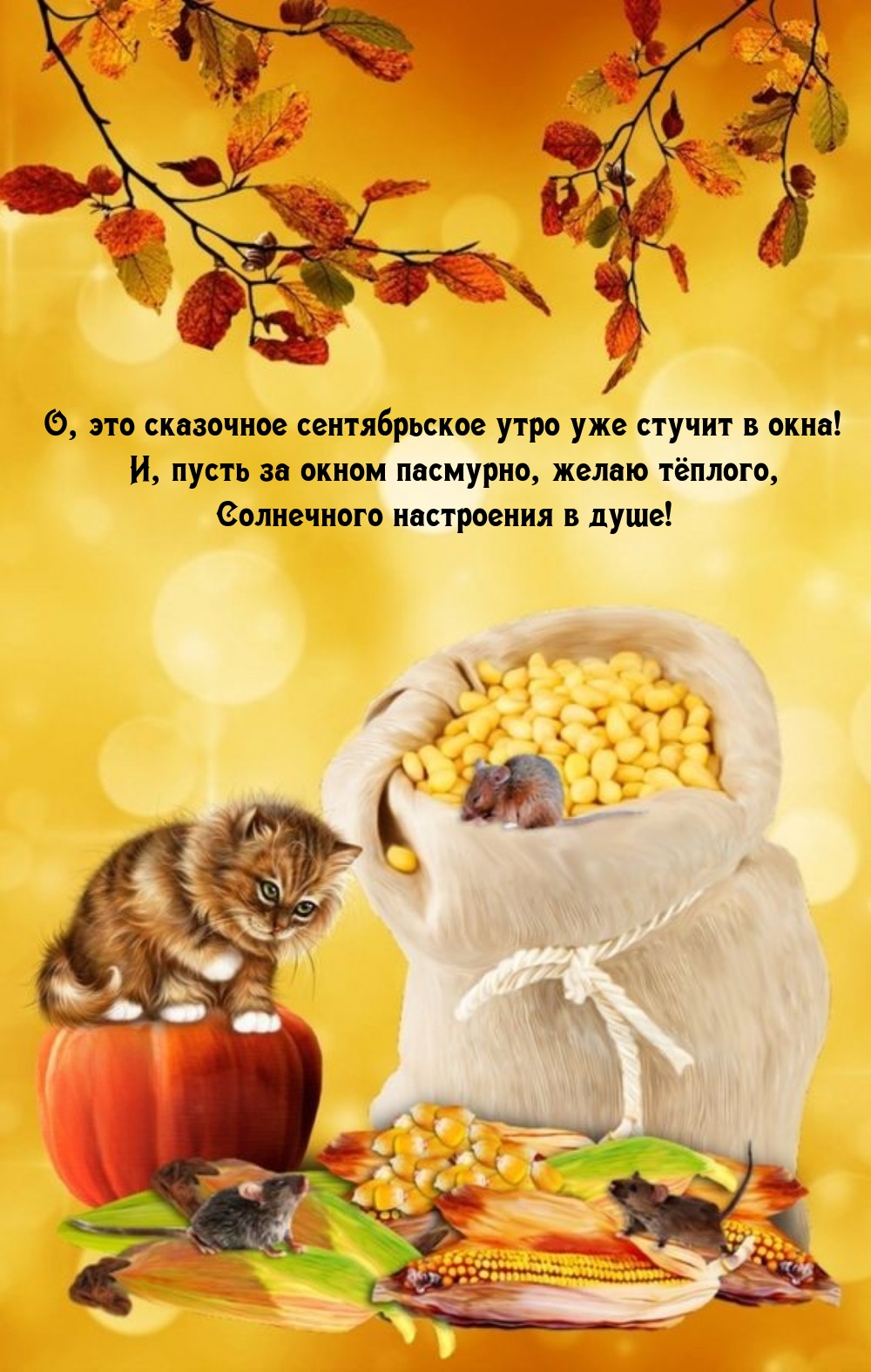 О, это сказочное сентябрьское утро уже стучит в окна! 