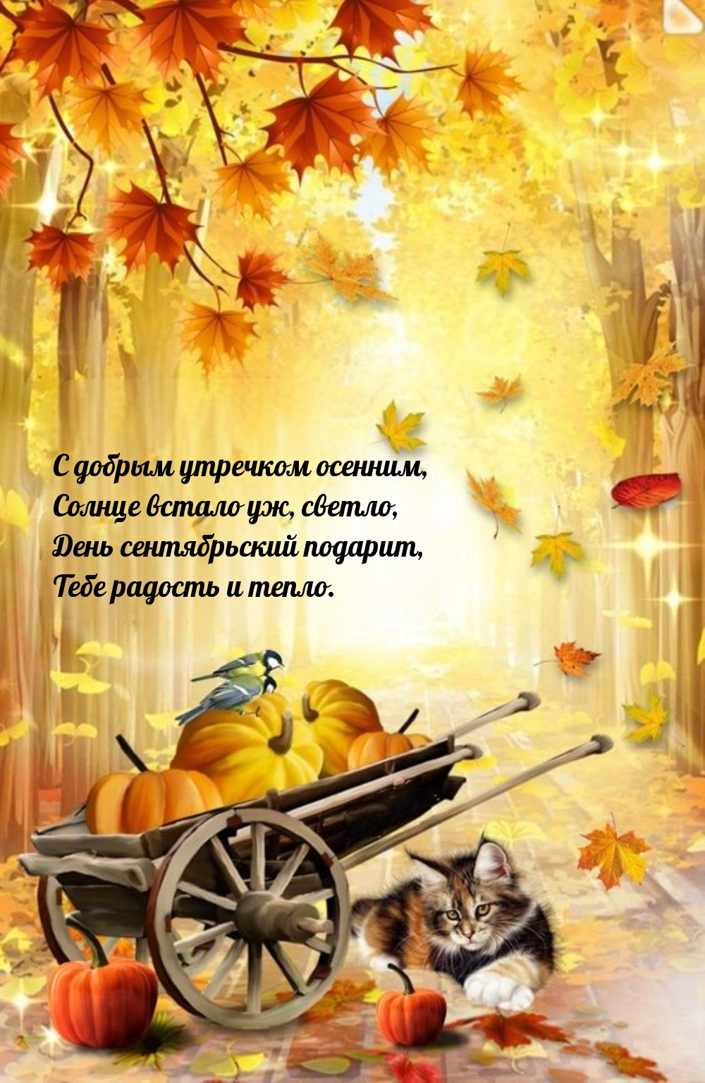 С добрым утречком осенним, солнце встало уж, день сентябрьский 
