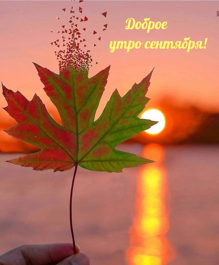 Доброе утро сентября!