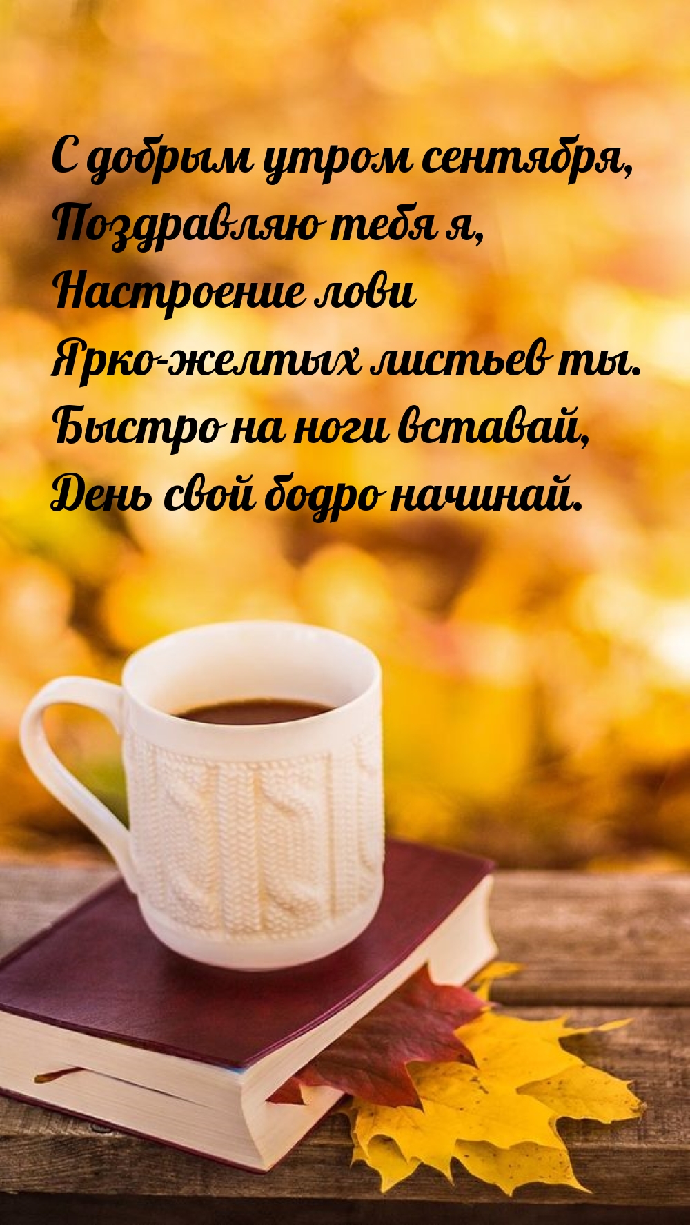 С добрым утром сентября, поздравляю тебя я