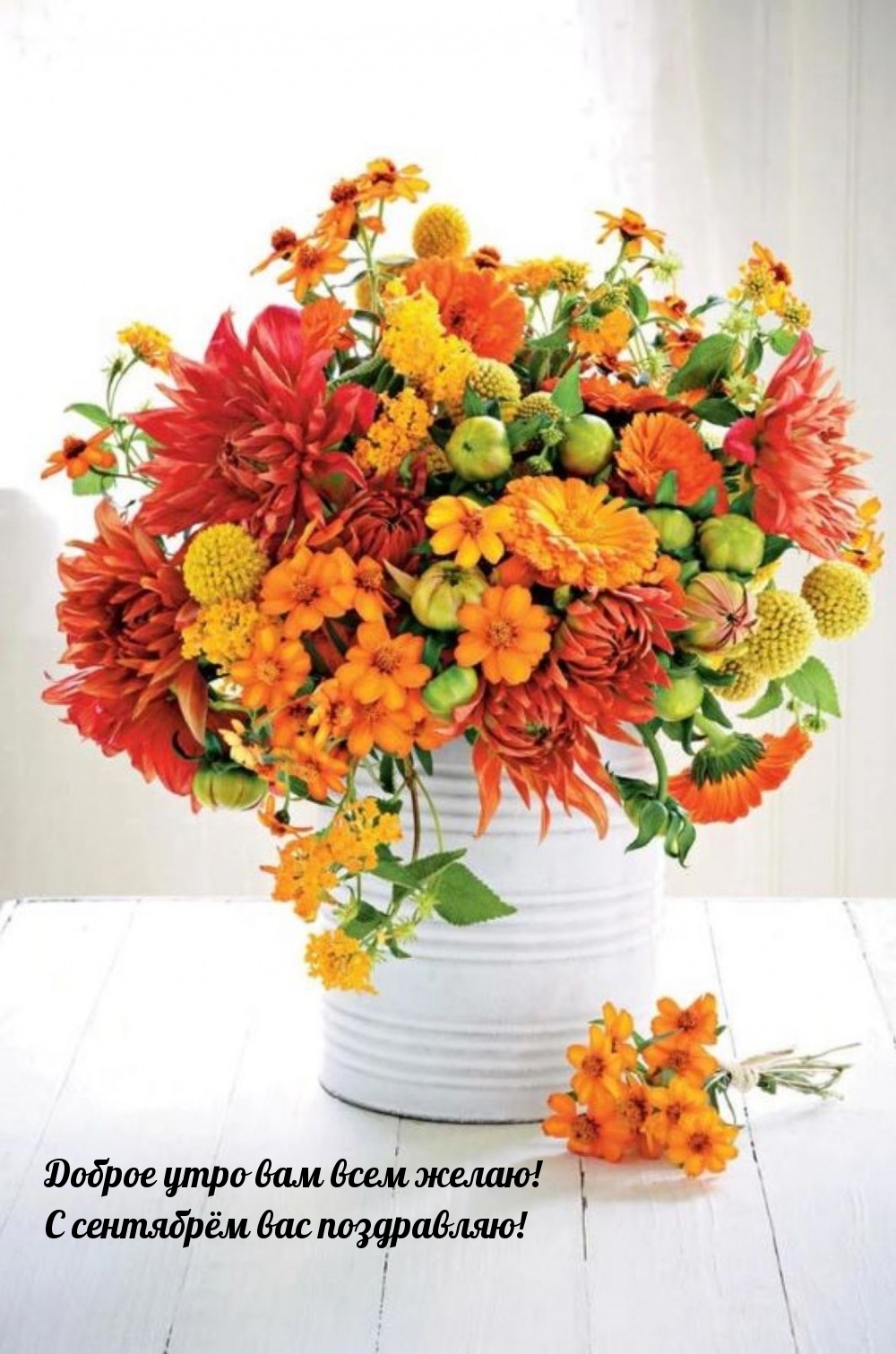 Доброе утро вам всем желаю! С сентябрём вас поздравляю!