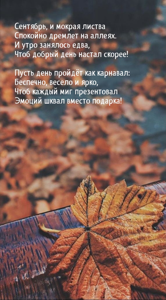 Сентябрь, и мокрая листва спокойно дремлет на аллеях.