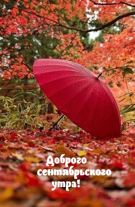 Доброго сентябрьского утра!