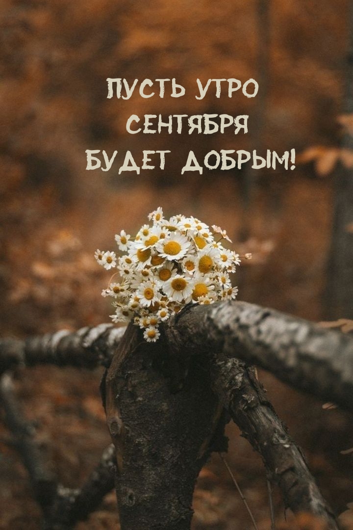 Пусть утро сентября будет добрым!