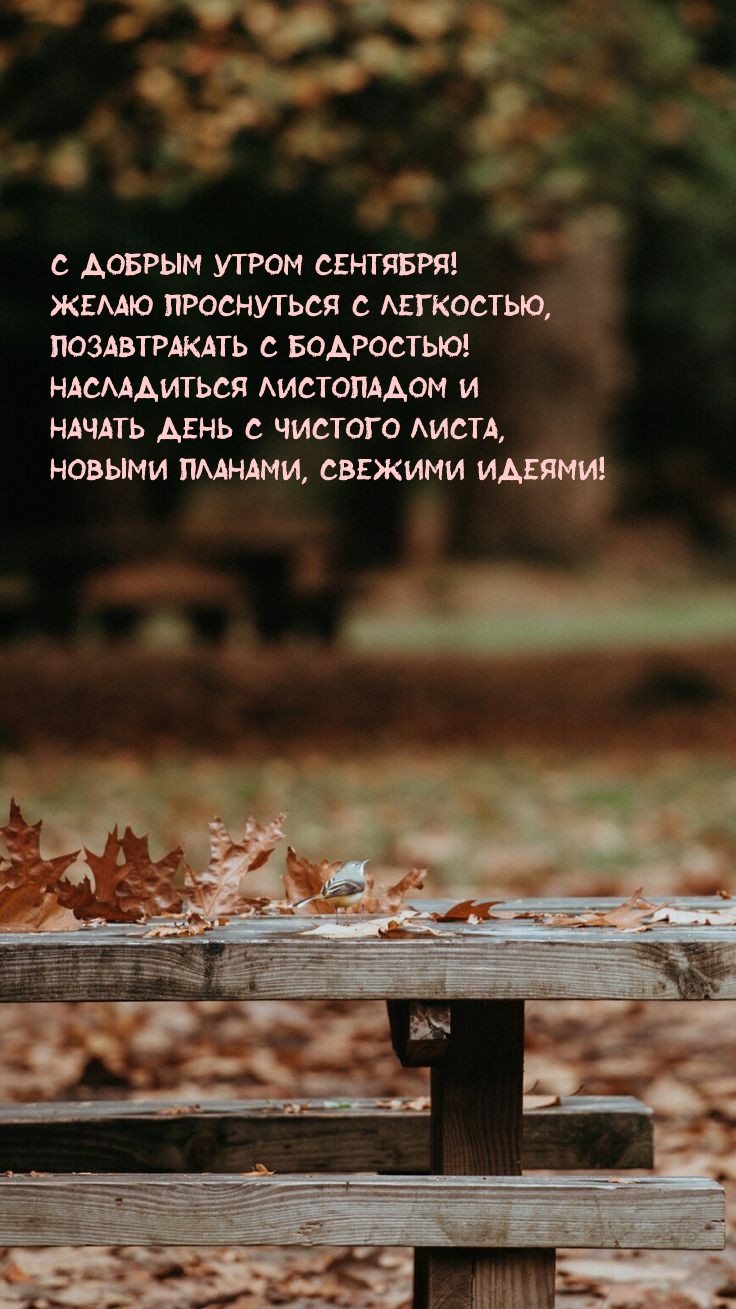 С добрым утром сентября! Желаю проснуться с легкостью