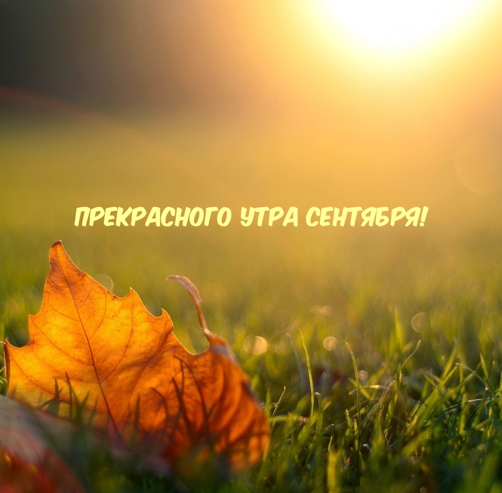Прекрасного утра сентября!