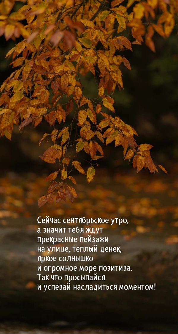 Сейчас сентябрьское утро