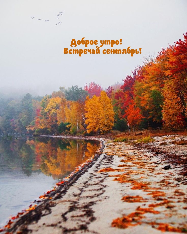 Доброе утро! Встречай сентябрь!