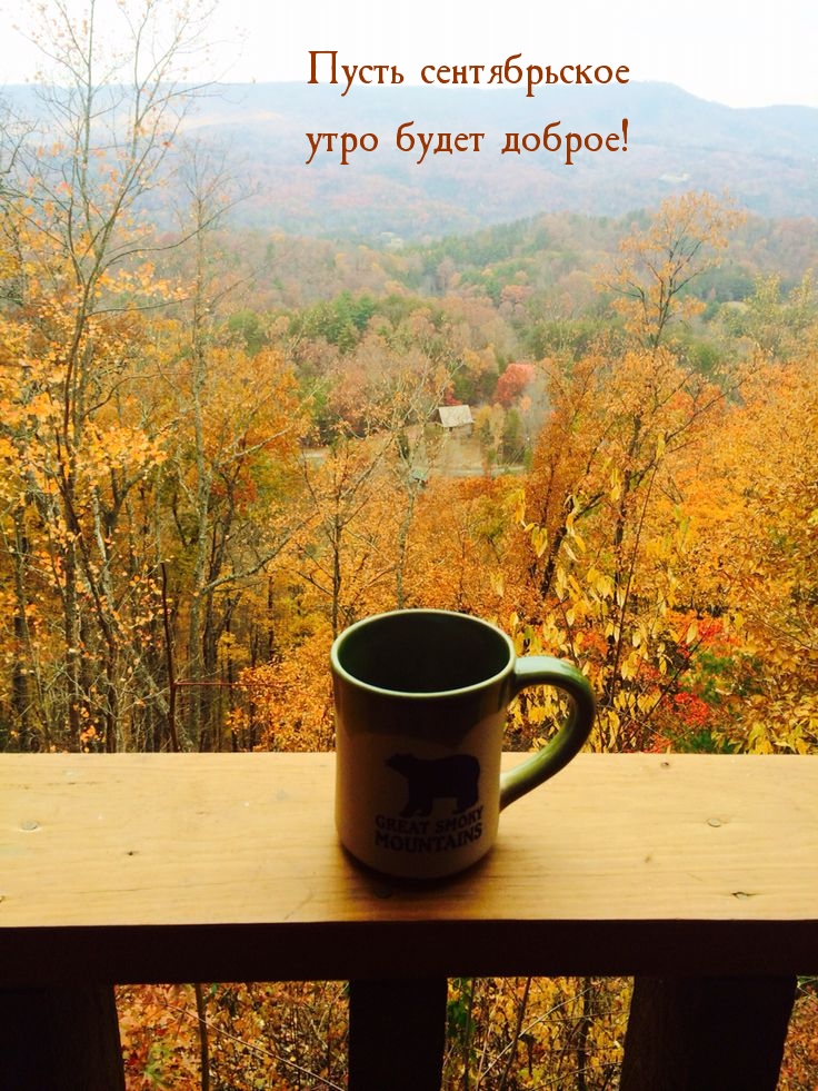 Пусть сентябрьское утро будет доброе!