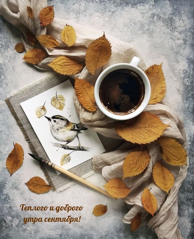 Теплого и доброго утра сентября!