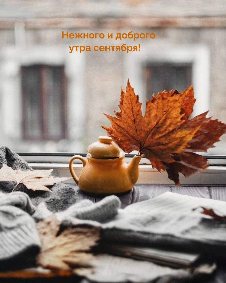 Нежного и доброго утра сентября!