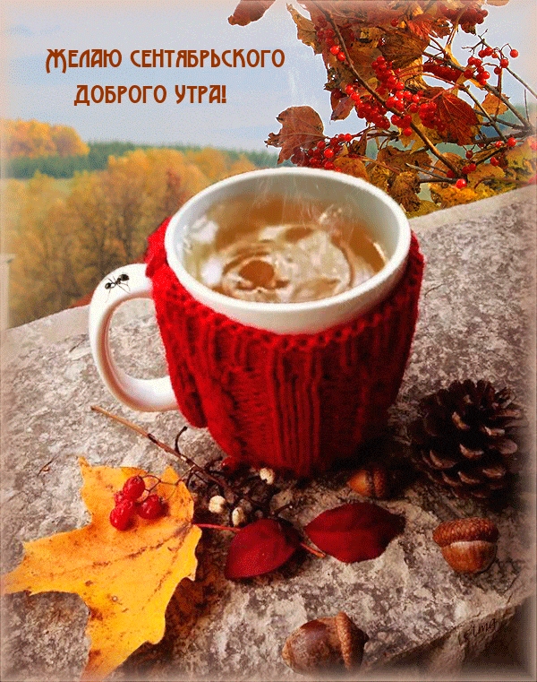 Желаю сентябрьского доброго утра!