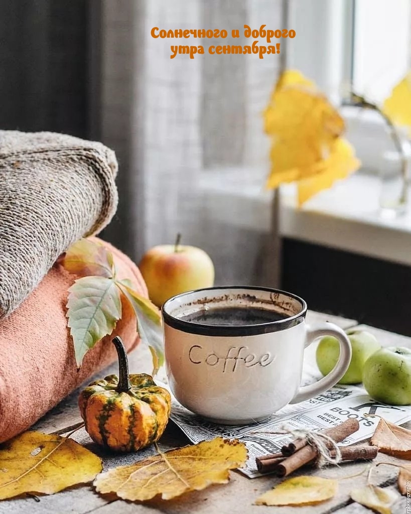 Солнечного и доброго утра сентября!