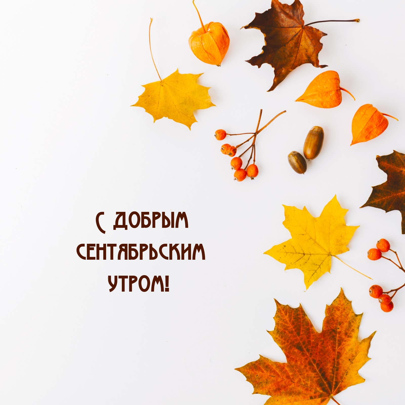 С добрым сентябрьским утром!