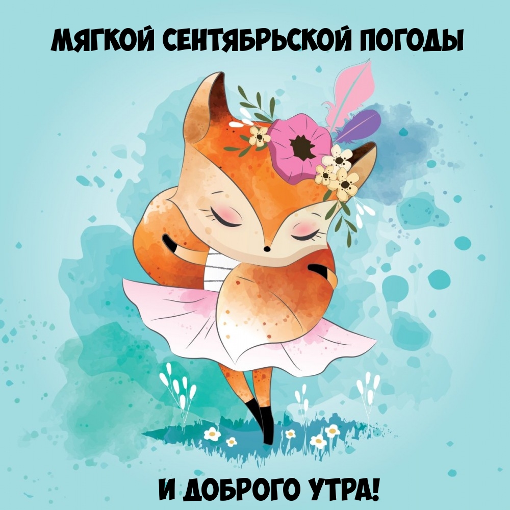 Мягкой сентябрьской погоды и доброго утра!