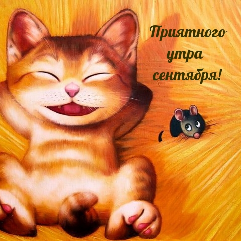 Приятного утра сентября!