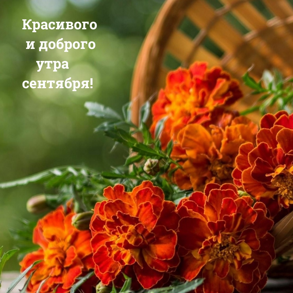 Красивого и доброго утра сентября!