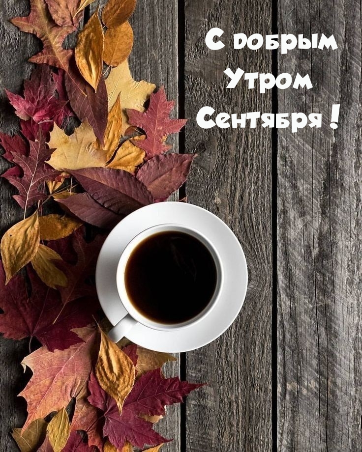 С добрым Утром Сентября!