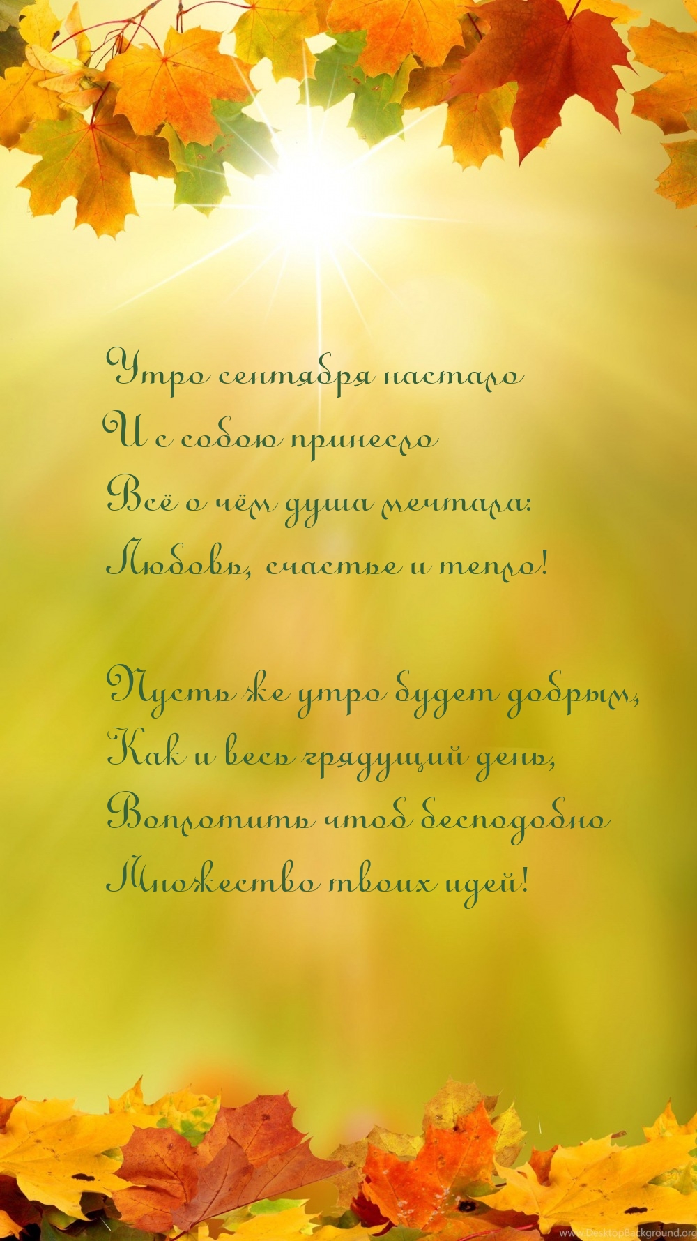Утро сентября настало и с собою принесло всё о чём душа мечтала