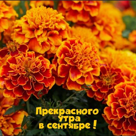 Прекрасного утра в сентябре!
