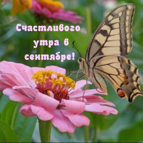 Счастливого утра в сентябре!