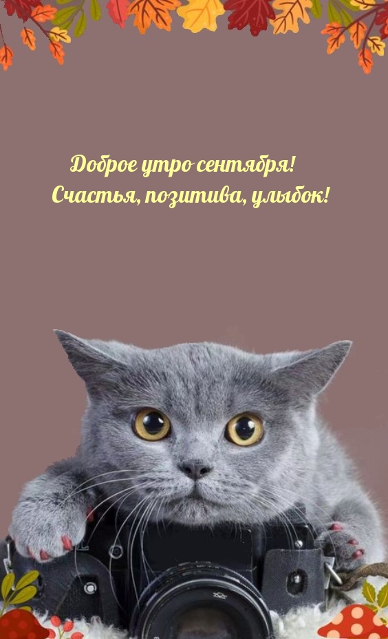 Доброе утро сентября! Счастья, позитива, улыбок!