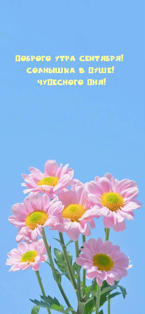 Доброго утра сентября! Солнышка в душе! Чудесного дня!