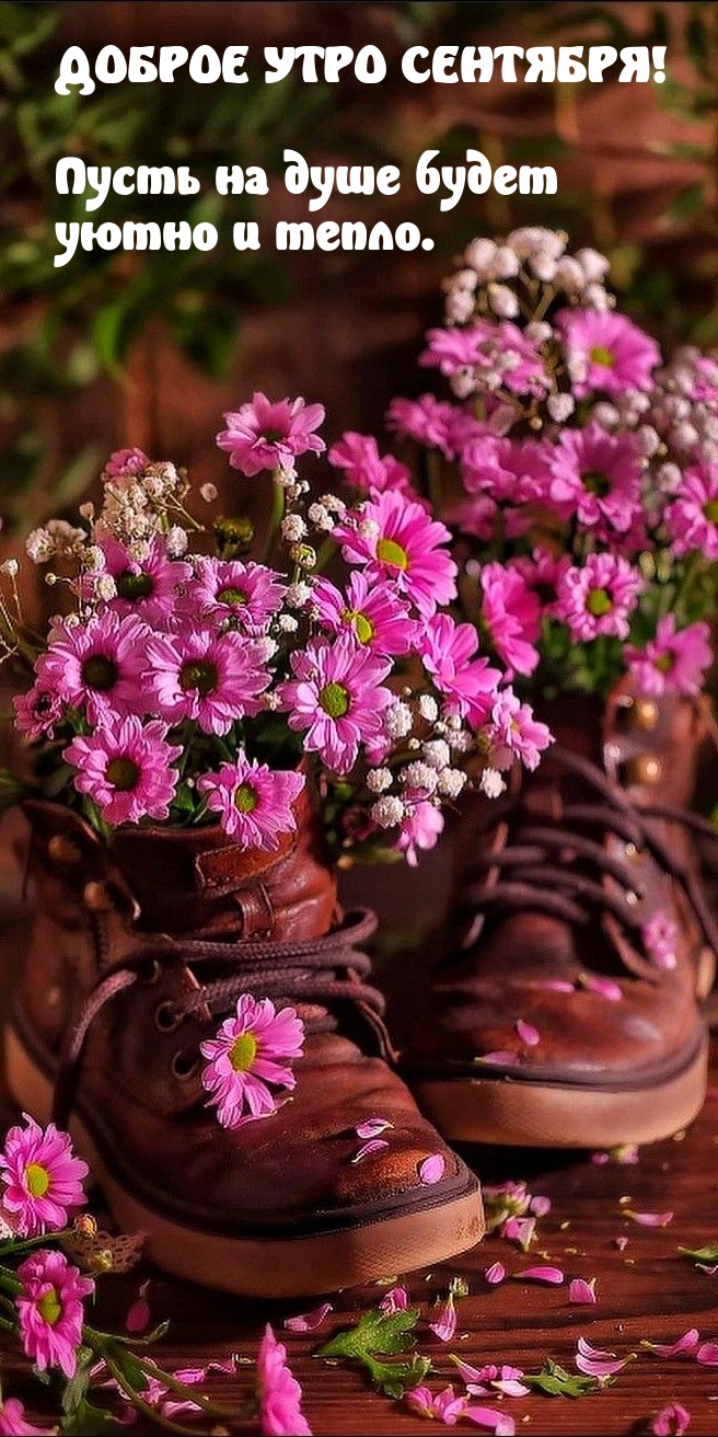 Доброе утро сентября! Пусть на душе будет уютно и тепло.