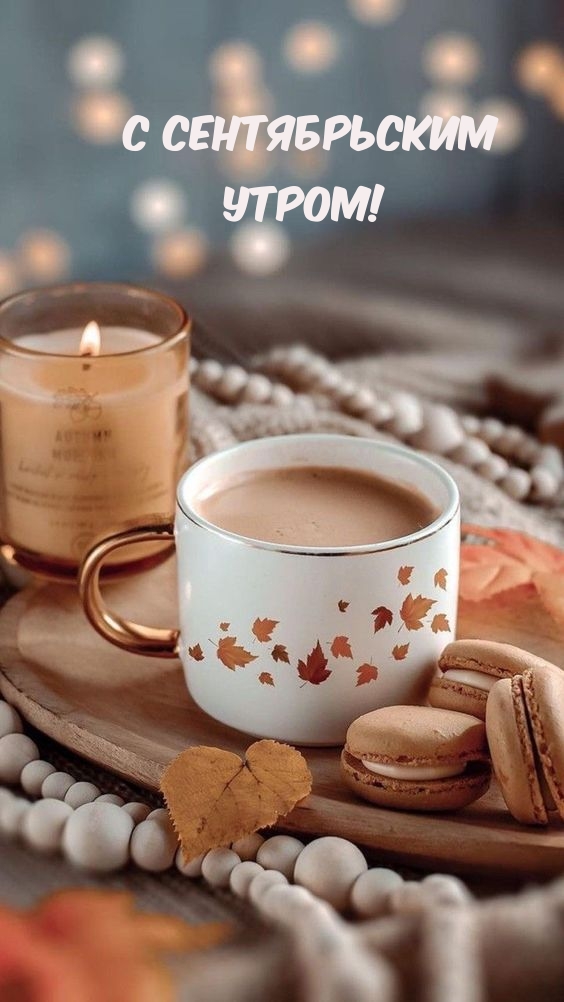 С сентябрьским утром!