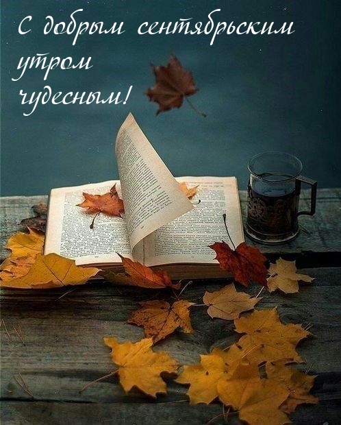 С добрым сентябрьским утром чудесным!