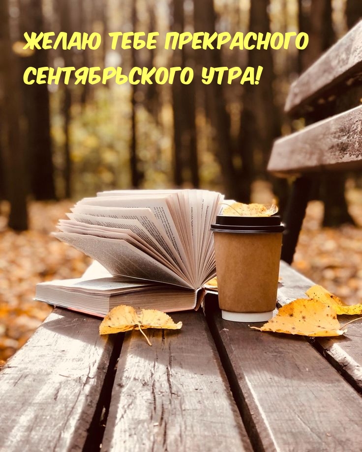 Желаю тебе прекрасного сентябрьского утра!