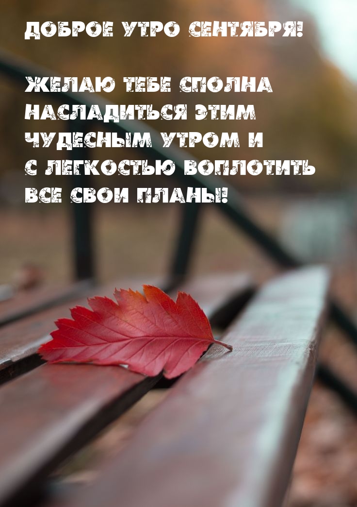 Доброе утро сентября! Желаю сполна насладиться этим чудесным утром