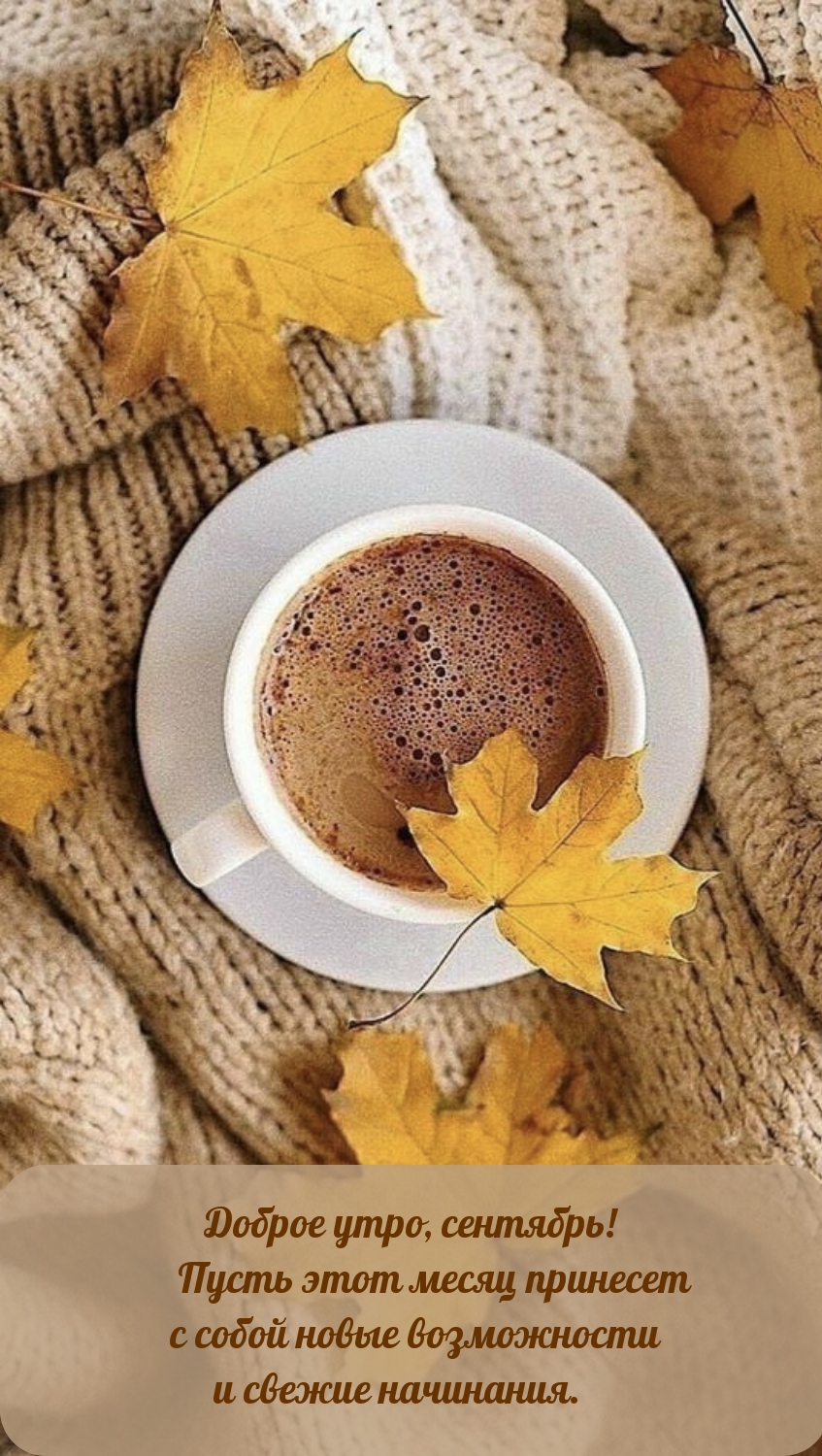 Сентябрь! Пусть этот месяц принесет с собой новые возможности
